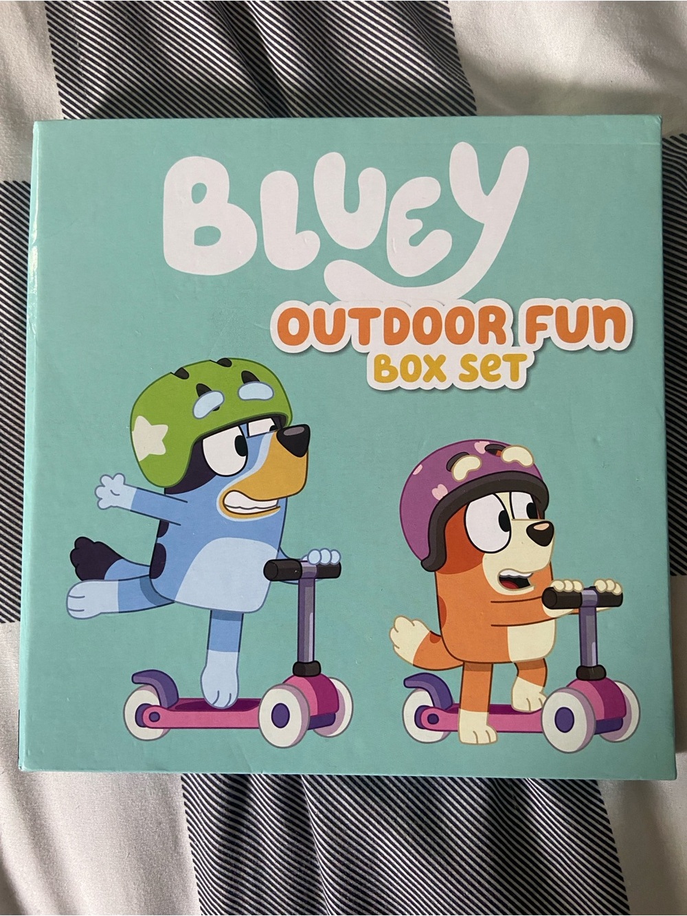 Bluey Outdoor Fun Box Set of Books